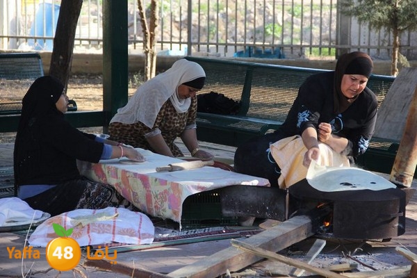 rashidiya 0212 (73).JPG